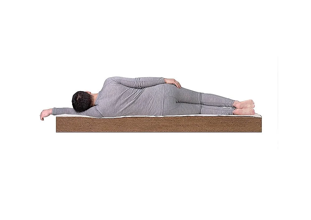 Матрас Dreamline Orto-15 Матрас Dreamline Orto-15